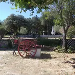 Azalée * Caveirac